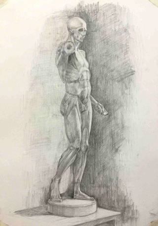 Рисунок экорше