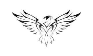 Ястреб эскиз