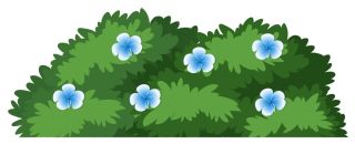 Куст рисунок