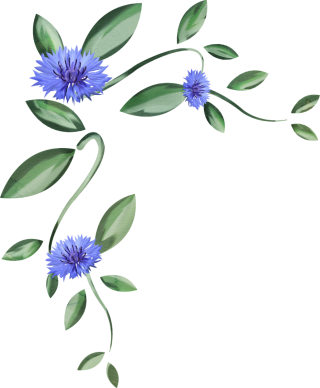 Васильки рисунки