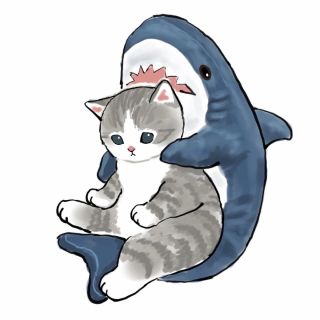 Котик акула рисунок