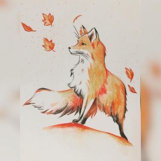 Рисунок лисы для срисовки