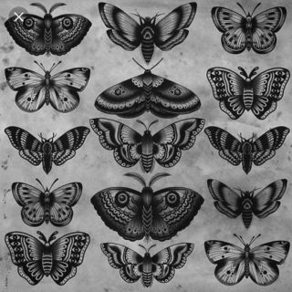 Бабочки раскраска эстетика