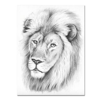 Рисунок льва карандашом легкий