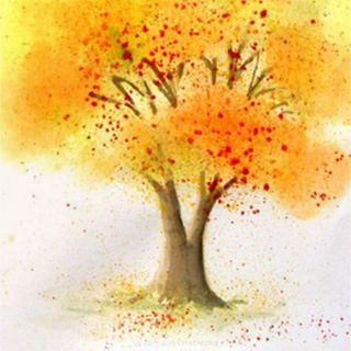 Осеннее дерево рисунок карандашом цветной