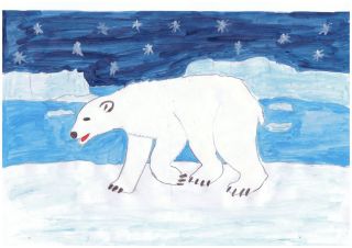 Рисунки арктики