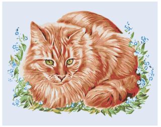 Рисунок рыжего кота для срисовки