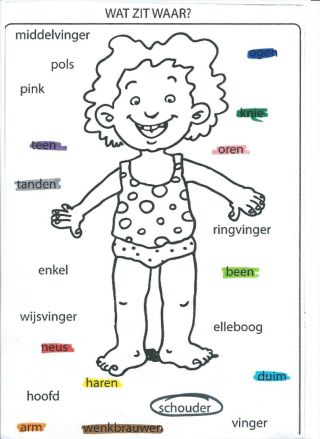 Раскраски части тела человека для детей