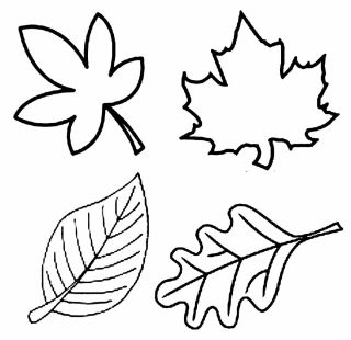 Шаблоны листьев осенних для вырезания из бумаги