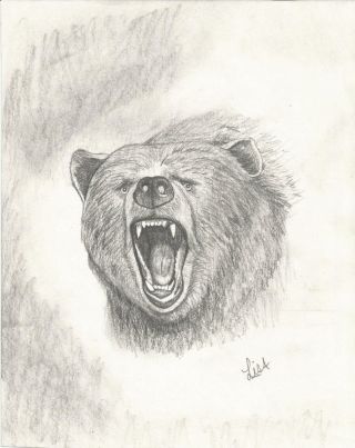Лицо медведя рисунок