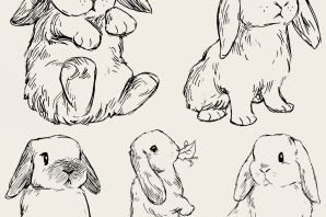 Заяц рисунок легкий
