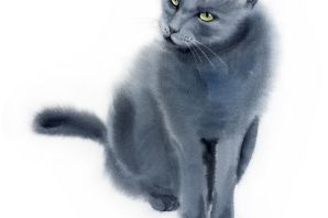 Серый кот рисунок