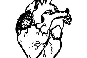 Рисунок сердца с подписями