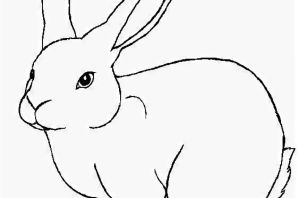 Рисунки кролика для срисовки легкие