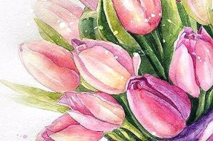 Цветы тюльпаны рисунок