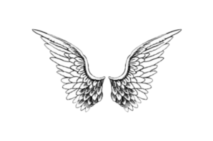 Рисунок крылья