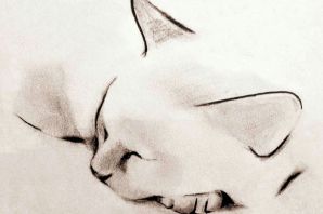 Рисунок котенок лежит