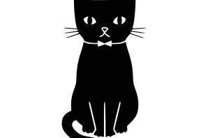 Котенок черно белый рисунок