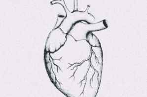 Нарисованное человеческое сердце