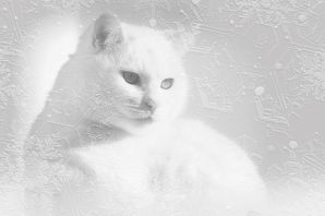 Белая кошка нарисованная