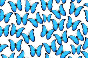 Много бабочек рисунок