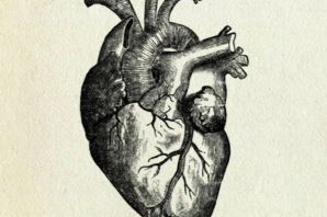 Рисунок карандашом анатомическое сердце