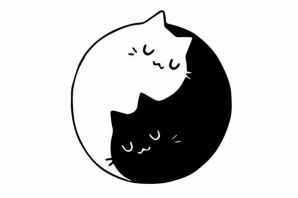 Черно белый кот рисунок