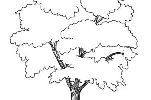 Дерево контур рисунок