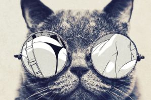 Котик в очках рисунок