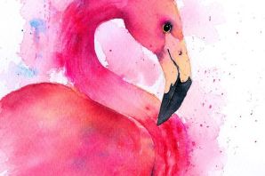 Розовый фламинго рисунок