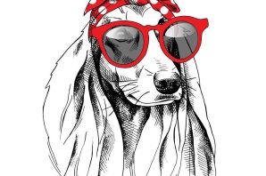 Собака в очках рисунок