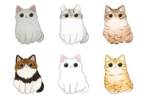 Милые коты рисунки
