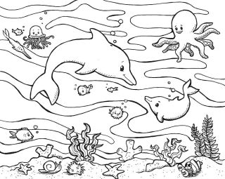 Морские животные раскраска