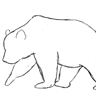 Рисунок медведя легко