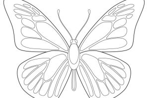 Крылья бабочки раскраска