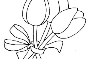 Раскраска цветок тюльпан
