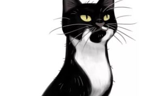 Кошка черно белый рисунок