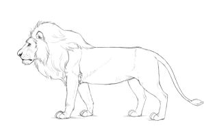 Рисунок карандашом льва для срисовки