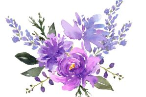 Рисунок фиолетовые цветы