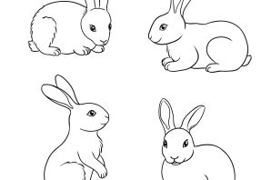 Кролик сбоку рисунок