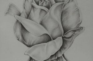 Роза рисунок карандашом