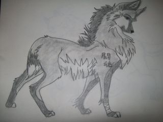 Нарисованный волк карандашом