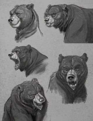 Рисунок медведь реалистичный