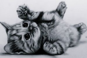 Три кота рисунок карандашом