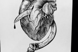 Анатомическое сердце эскиз
