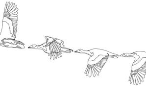 Летящий журавль рисунок