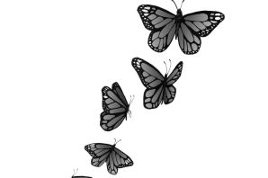 Бабочка в полете рисунок
