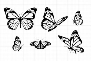 Рисунки для срисовки легкие бабочки
