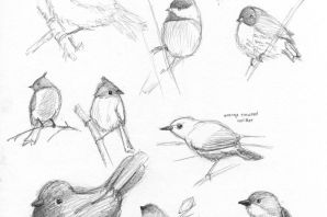 Зарисовки животных и птиц