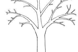 Нарисованное дерево без листьев